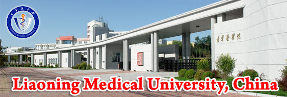 lmu_campus