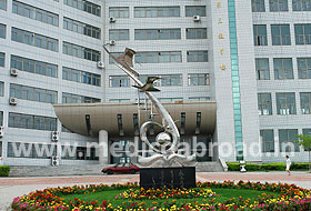 university
