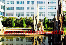 university