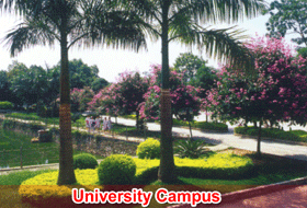 university