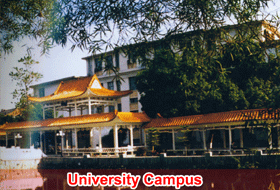 university