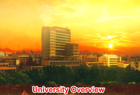 overview